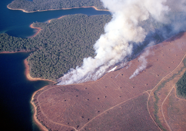This study is looking at the effects of fire on catchment hydrology.