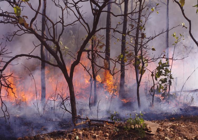 Large areas of northern Australia burn each year, affecting the environment and carbon emissions. Photo: BNHCRC
