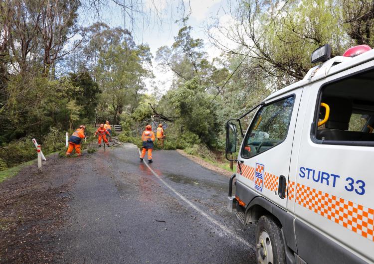 South Australian State Emergency Services crew managing a fallen tree during the September 2016 Adelaide floods. Photo: South Australia SES. 