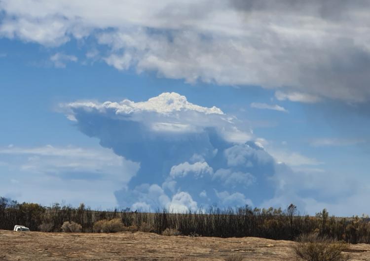 Fire-generated thunderstorm forming during Lake King fire in Western Australia, 2020. Photo: Christine Harper, DBCA, WA. 