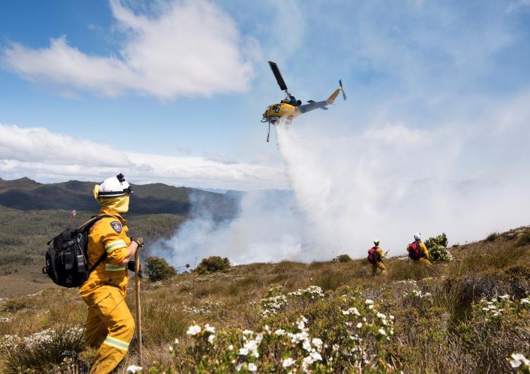 Tasmanian remote area firefighters and water bombing aircraft working on the Gell River bushfire at Mount Wright, 11 January 2019 Photo: Warren Frey TFS.