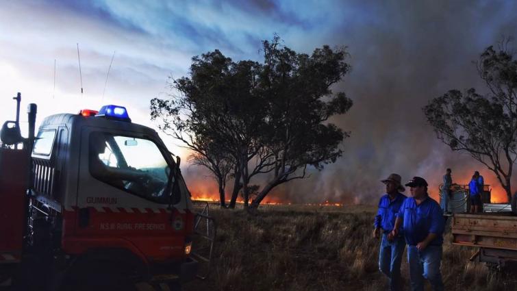The Sir Ivan fire. Photo: Nick Moir, Fairfax Media