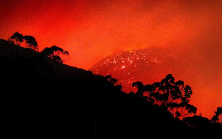 Forest fire in Victoria. Photo: CFA.