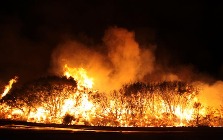 Fire in the Blue Mountains. Photo: Ben Shephard, NSW RFS.