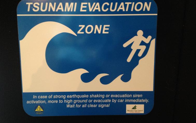 Tsunami evacuation zone sign.