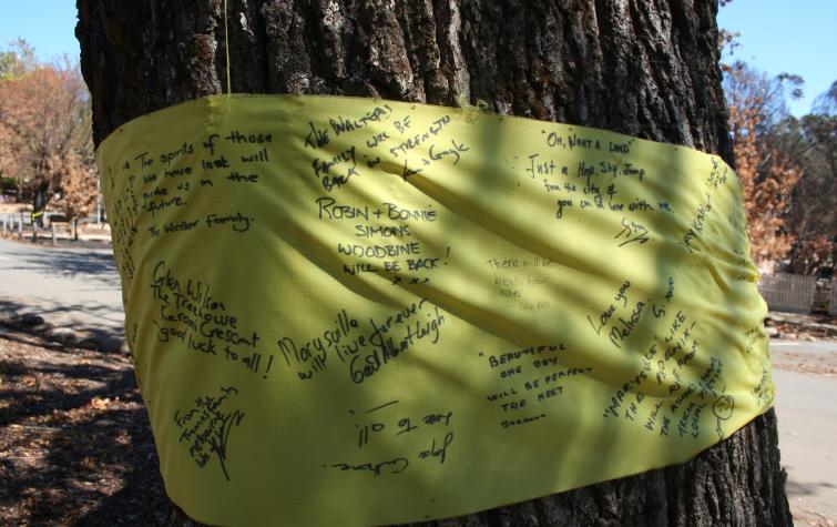 Messages from the Marysville community after the 2009 bushfires. Photo: David Bruce