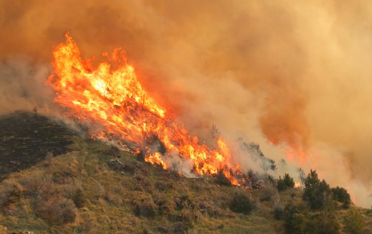 Fire in the landscape. Photo credit: Fire and Emergency NZ.