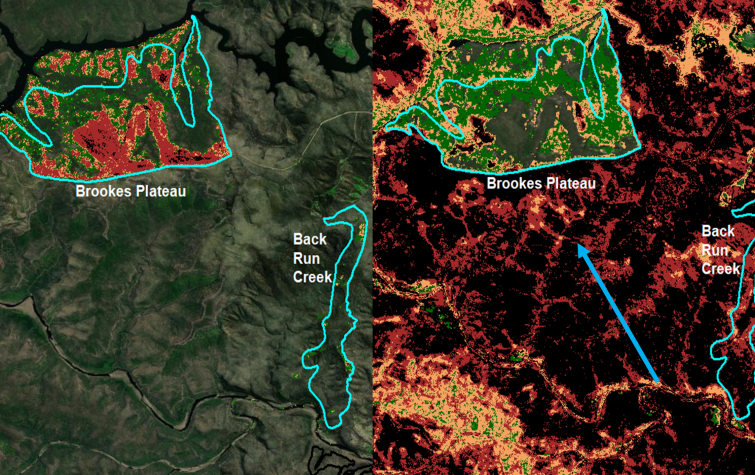 Two burns implemented in Moreton National Park, NSW in February/March 2019. The left map shows the Fire Extent and Severity Map for the prescribed burns and the right map shows the Fire Extent and Severity Map in the Currowan bushfire in January 2020.