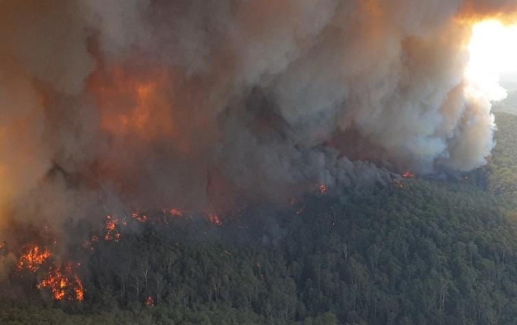 Green Wattle Fire, NSW, 4 January 2020. Photo: Levi Roberts, NSW NPWS