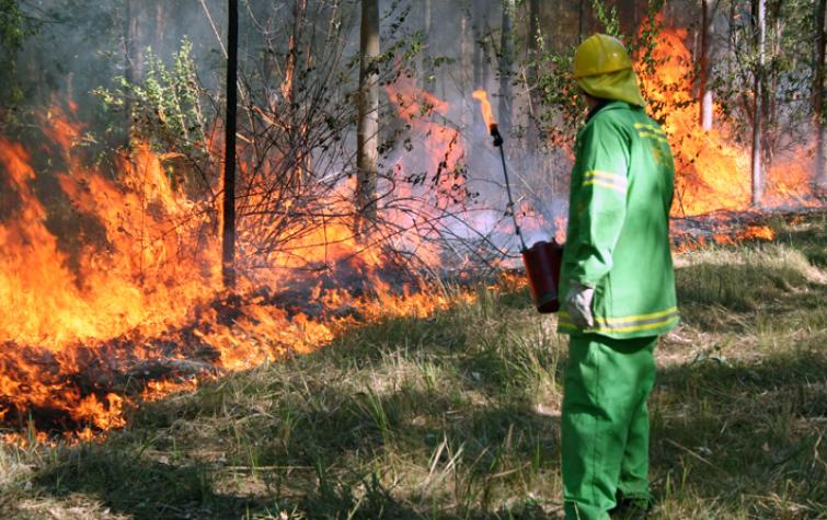 Prescribed burning in northern NSW