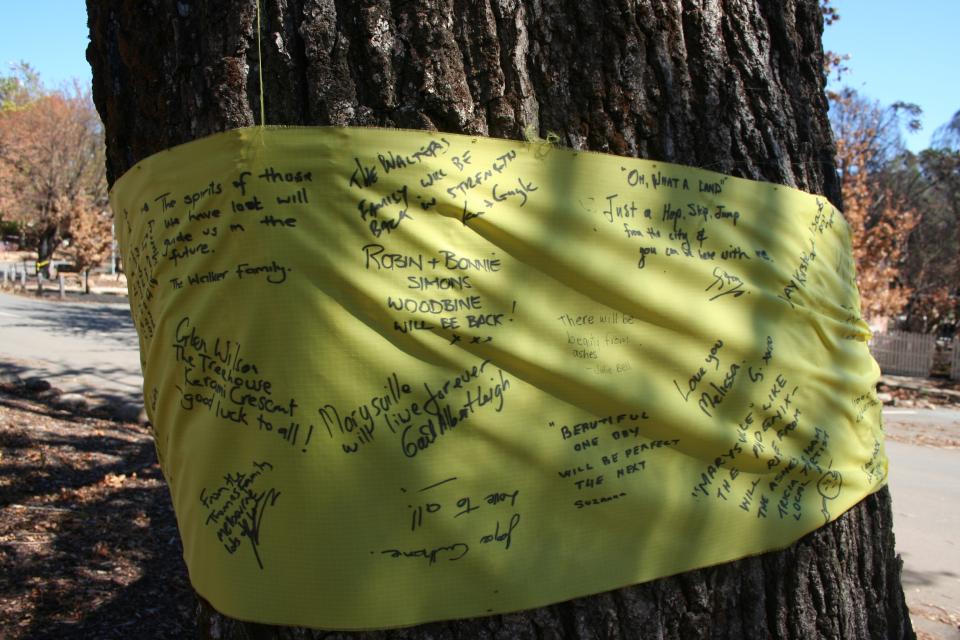 Messages from the Marysville community after the 2009 bushfires. Photo: David Bruce