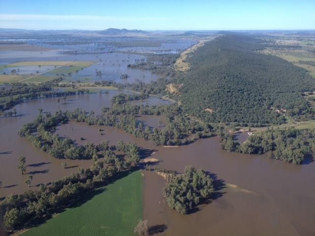 Aerial view of flooding in NSW. Photo: Alex Chesser