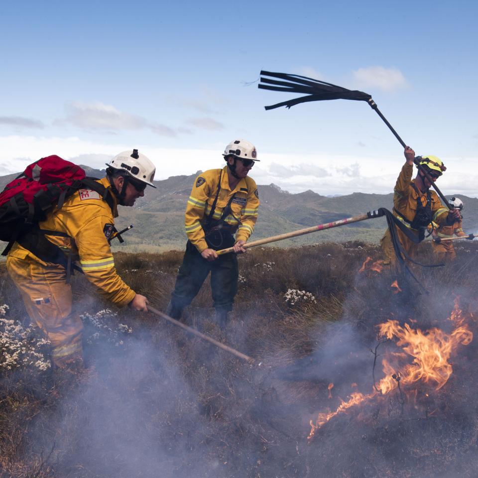 Firefighters using fire beaters to fight the Gell River fire in the Tasmanian Wilderness World Heritage Area. Photo: Warren Frey, AFAC