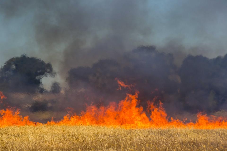 New guide to fire spread | Bushfire & Natural Hazards CRC