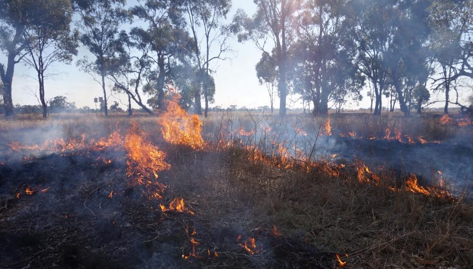 Djandak wi cultural burn at Myola, Victoria 2018. Photo: Timothy Neale
