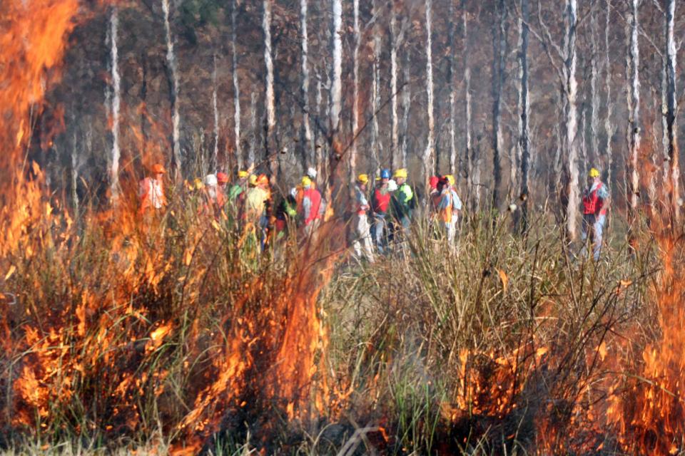 Prescribed burning taking place in NSW.