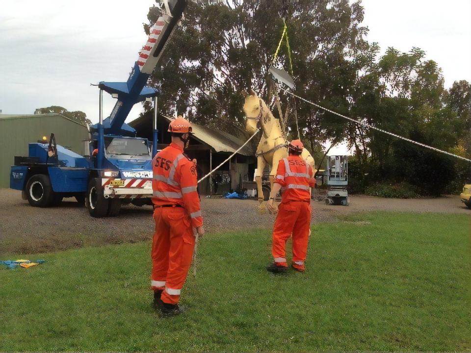 NSW SES large animal rescue training at Agnes Banks. Photo: Penny Burns